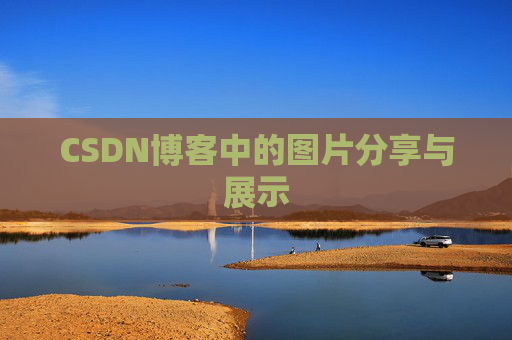 CSDN博客中的图片分享与展示
